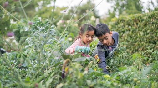 Two children crouching down and and enjoying gardening activities in the Kitchen Garden at Osterley Park and House, London